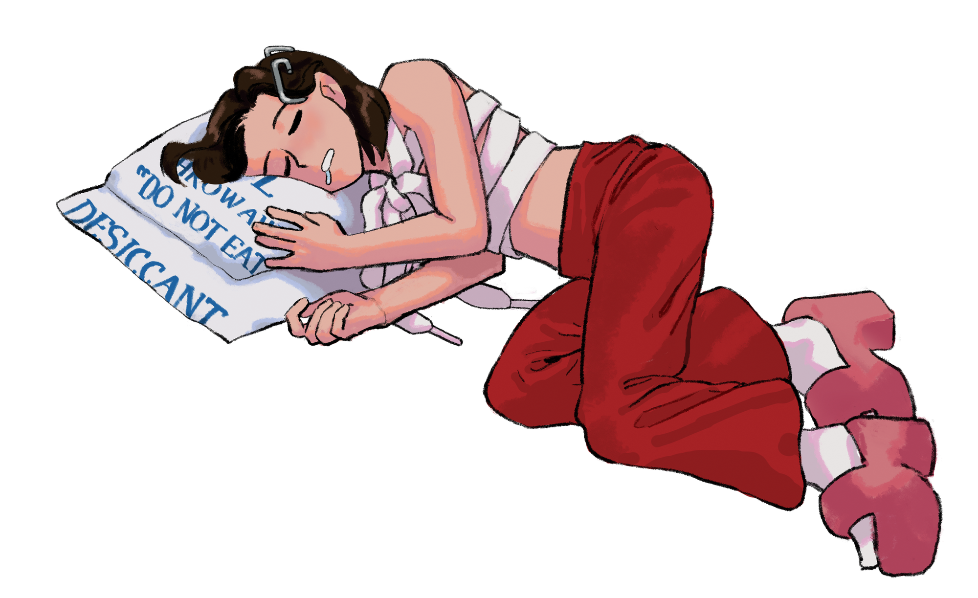 Artwork for Chuck, showing the feminine version of Chuck asleep on a desiccant packet.