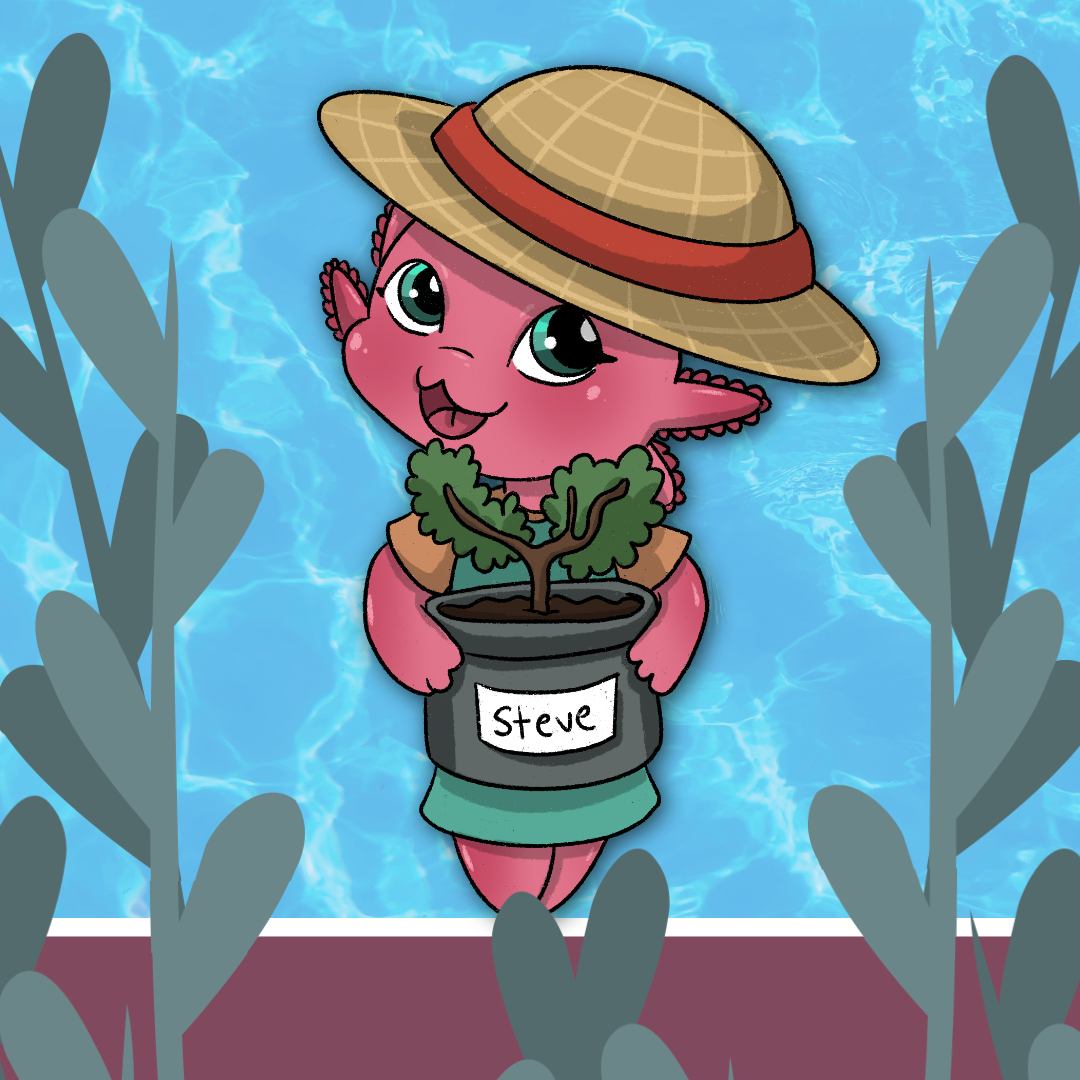 A bright pink axolotl wearing a handmade straw hat, carrying a plant pot with a small shrub in it. The shrub has been labeled "Steve" with a piece of white tape and marker.