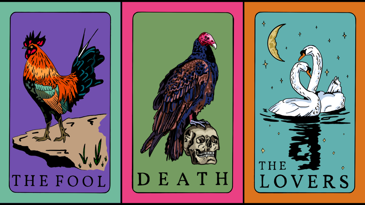 Augury: A Bird Tarot