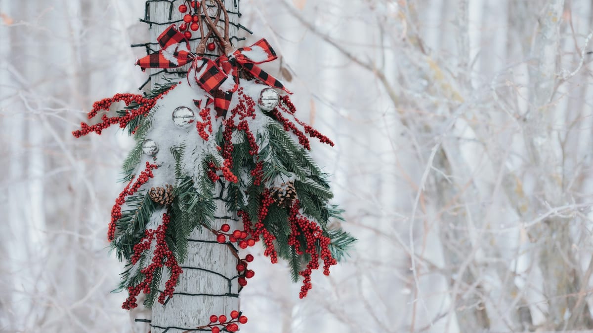 Holiday Special 2025