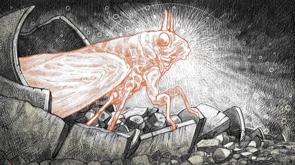 A locust emerges from broken pieces of a shell, or perhaps some shattered pottery.