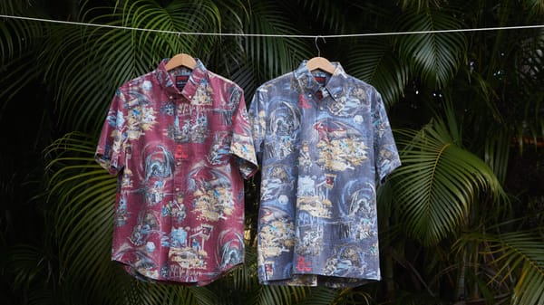 Two aloha shirts on a clothesline with palm fronds in the background. The print is D&D themed.
