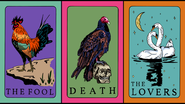 Augury: A Bird Tarot